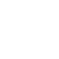 Nanshan America AAT